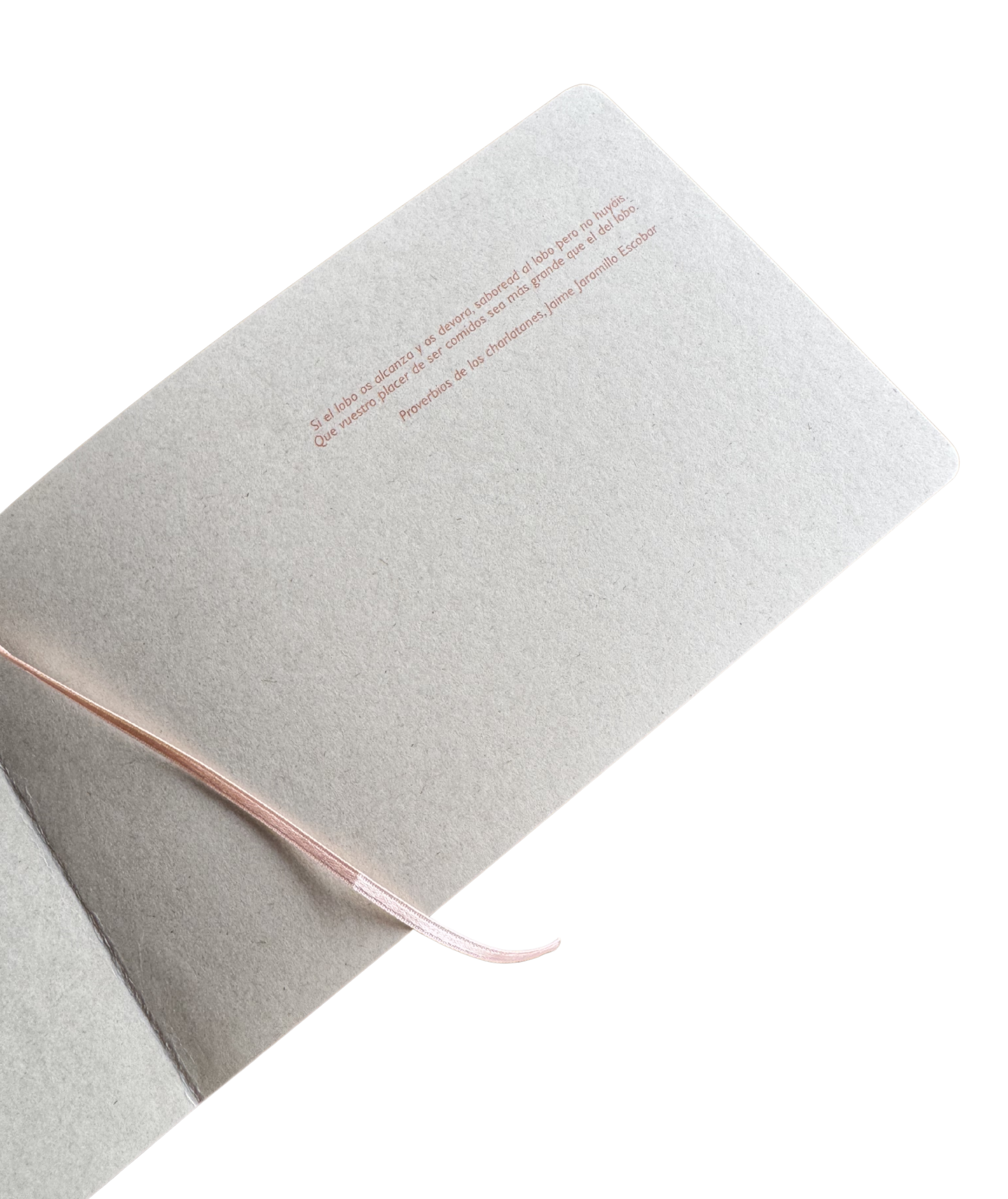 Libreta Grande - Cerdito