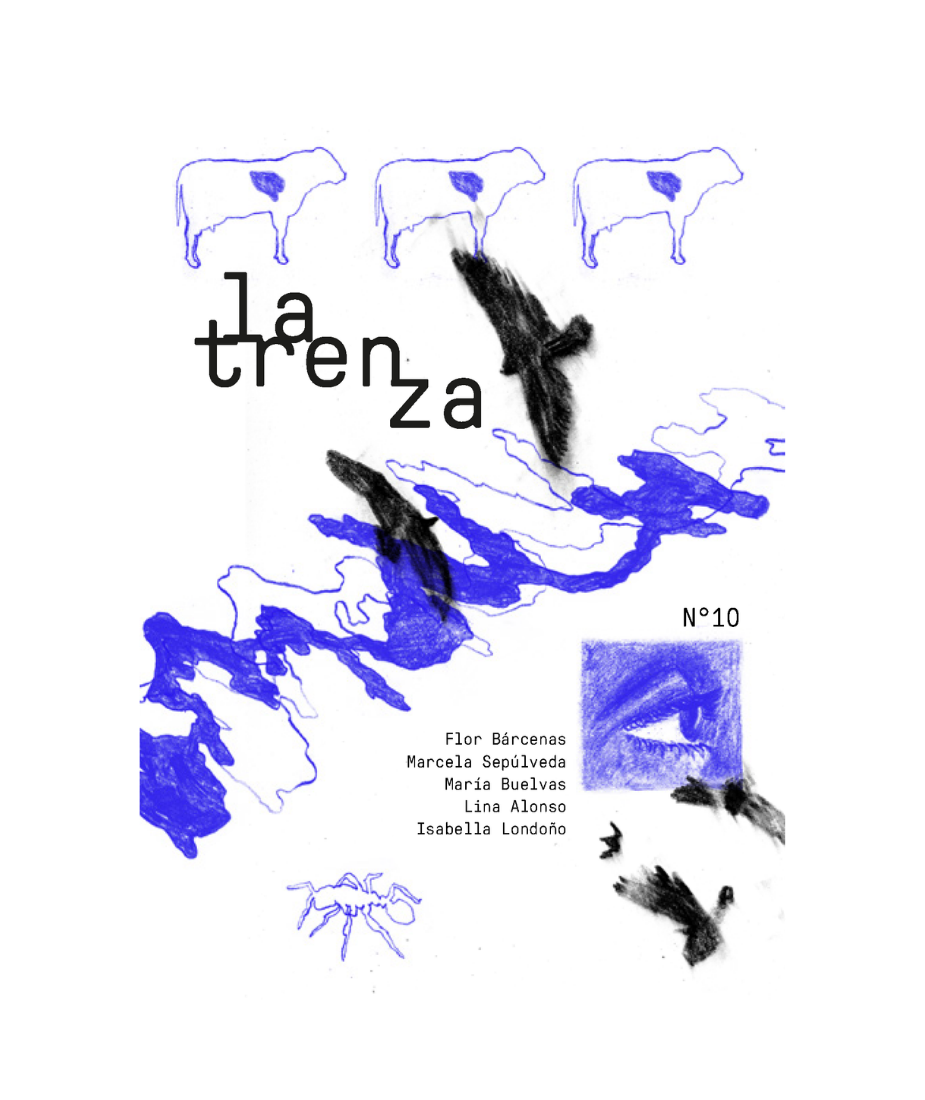 La trenza no. 10