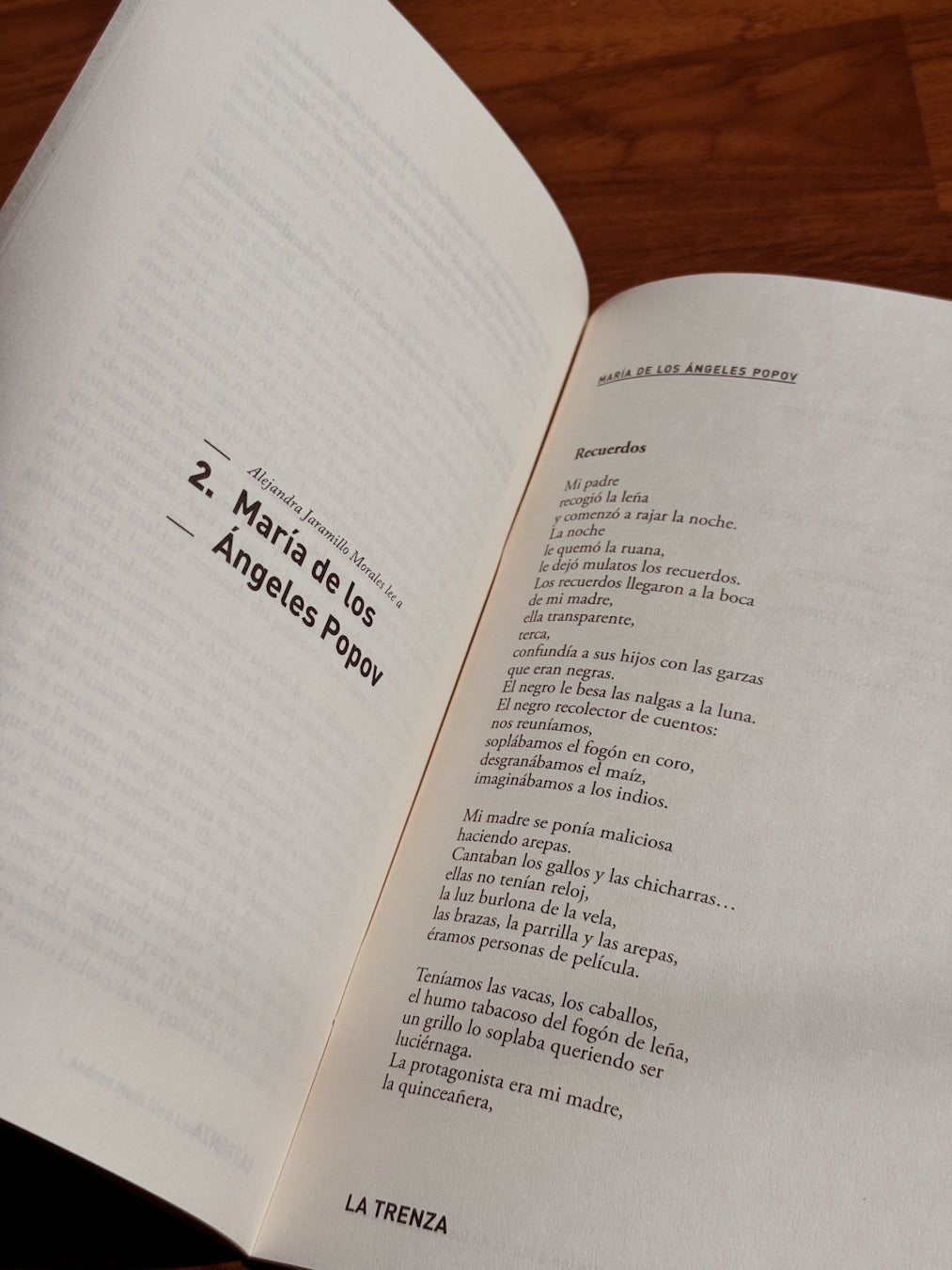 La trenza no. 5