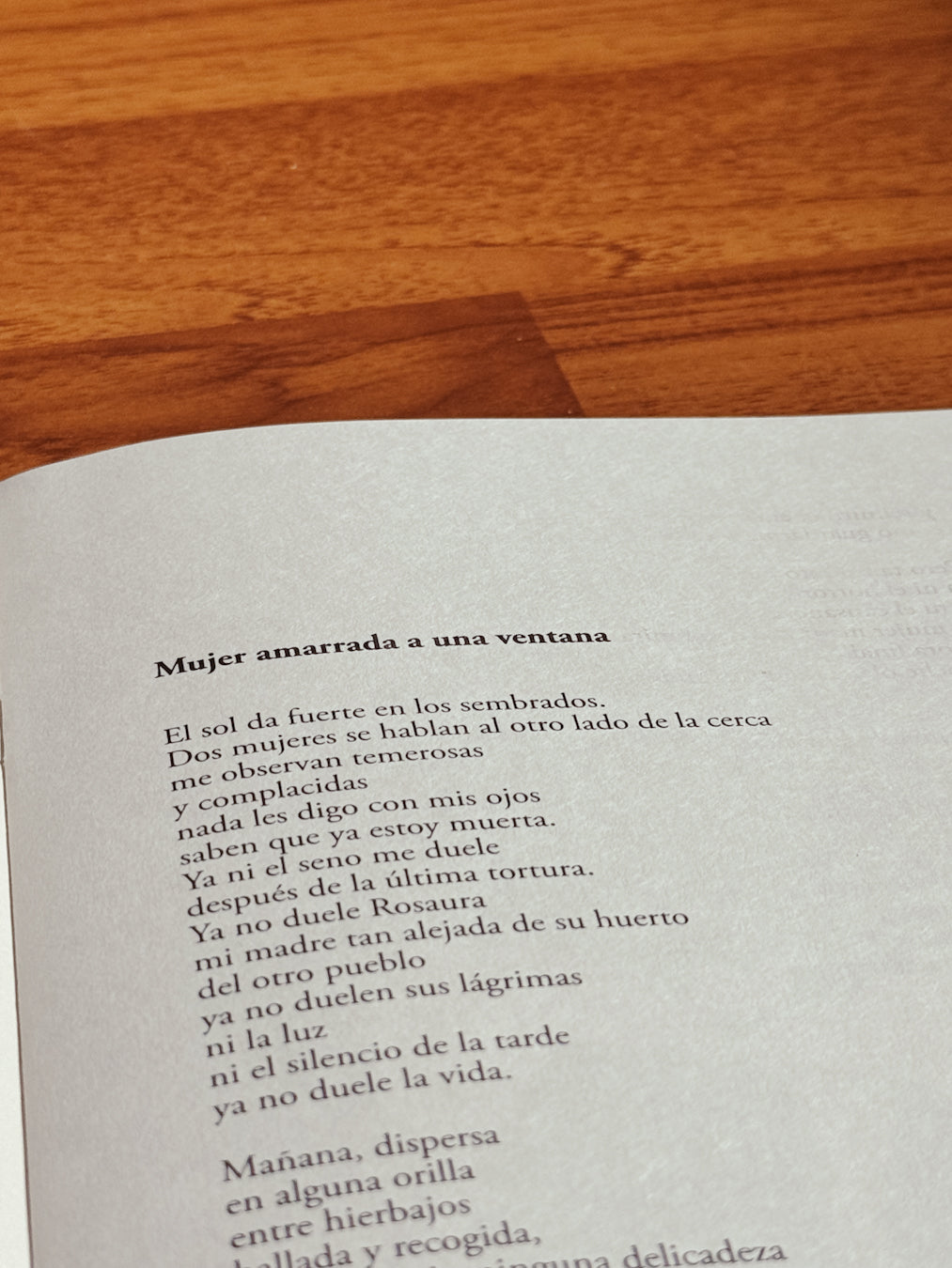 La trenza no. 6