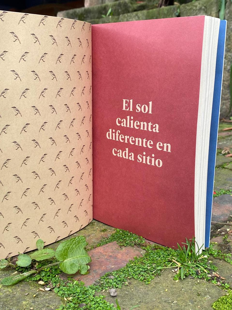 Diáspora. ¿Cómo dejaste amores y calles que eran tan tuyas?