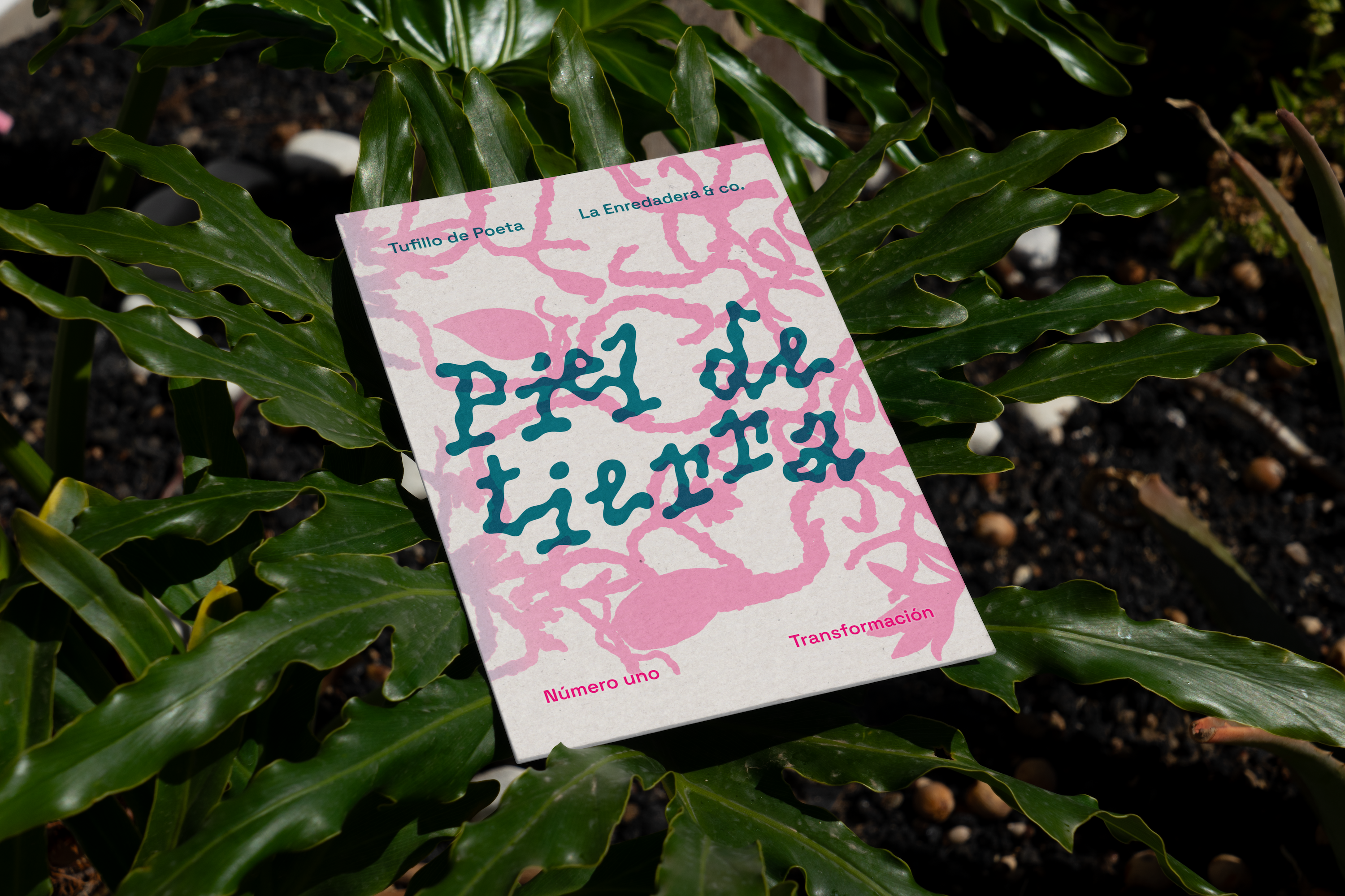 Piel de tierra
